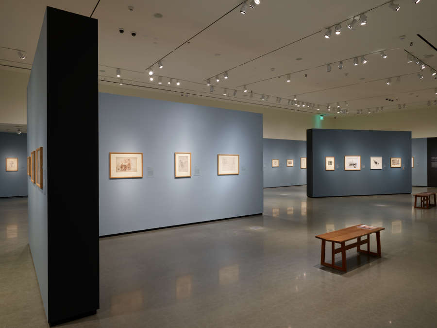 view exhibition image