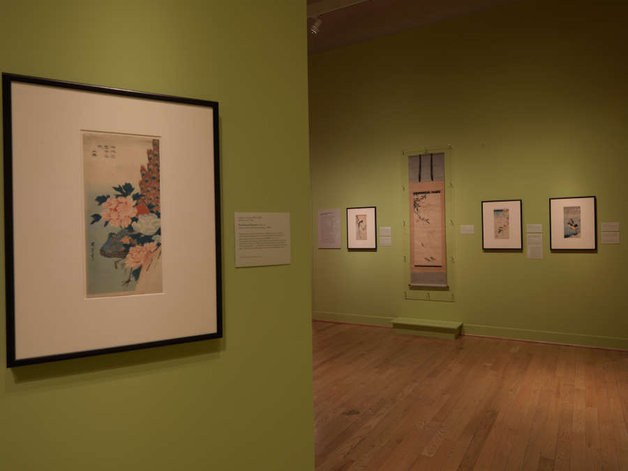 view exhibition image