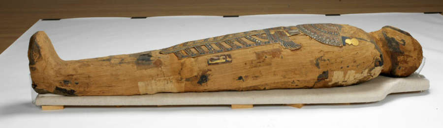 article mummys boy risdm-38-206-1.jpg