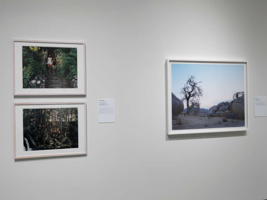 view exhibition image