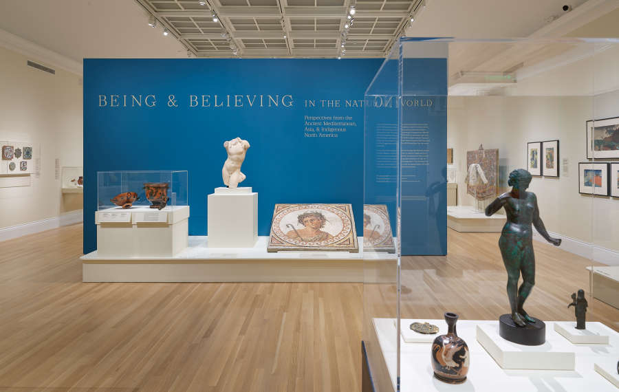 view exhibition image