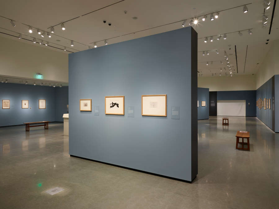 view exhibition image