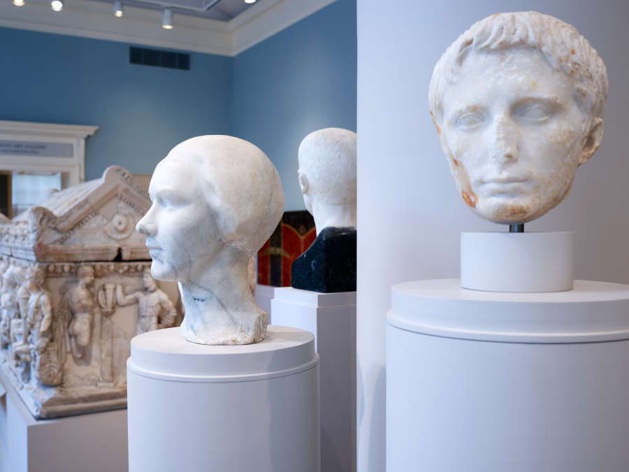 view exhibition image