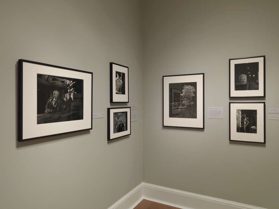 view exhibition image