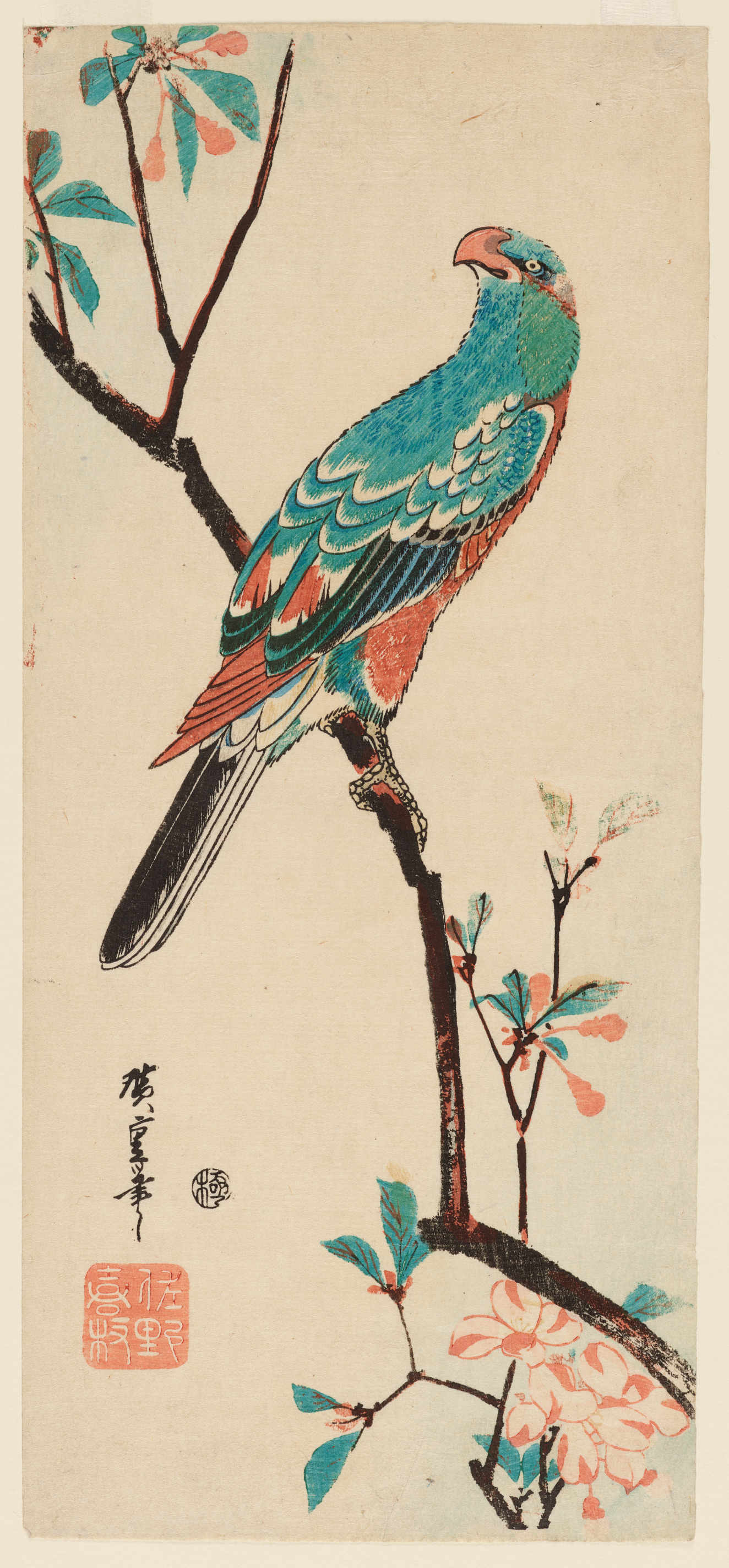 A brightly colored green, red, and blue bird, resting on a branch with pink and blue blossoms contrasted against a white backdrop.