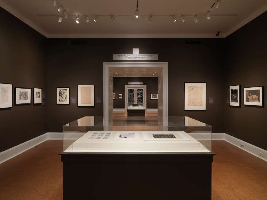 view exhibition image