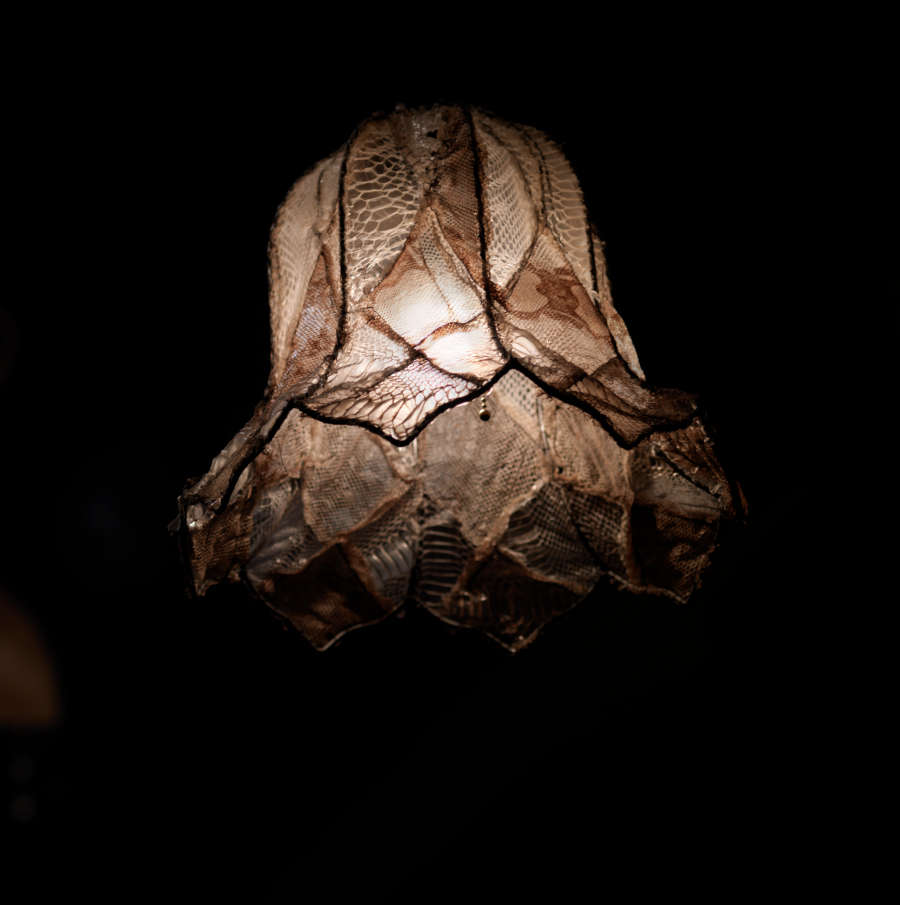 view exhibition image