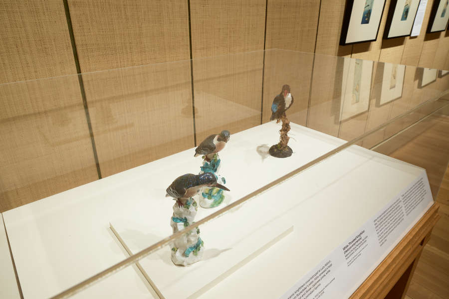 view exhibition image