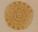 Golden ornamental motif on a neutral backdrop featuring a layered central floral design bordered by alternating darker and lighter circles.