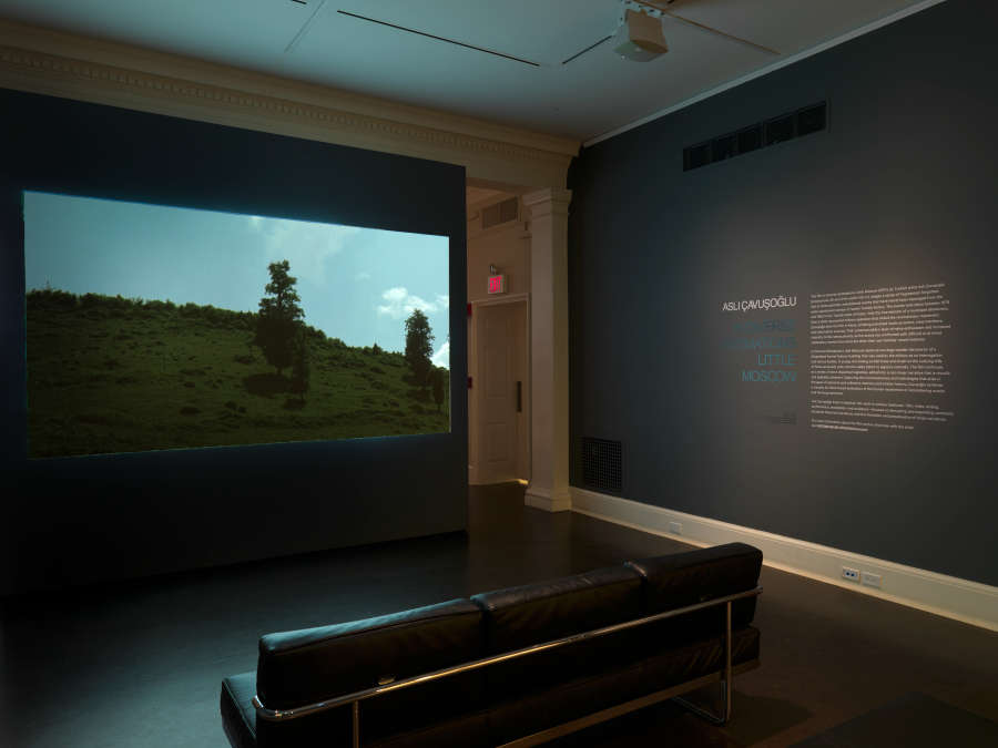 view exhibition image