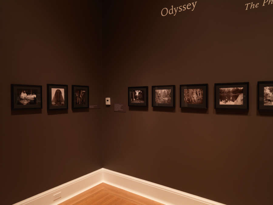 view exhibition image