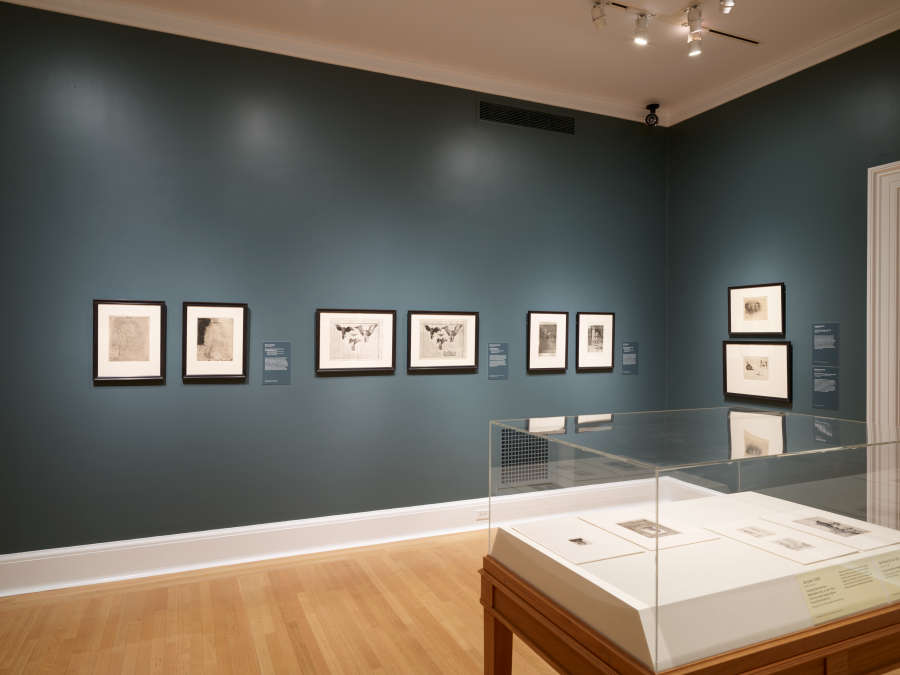 view exhibition image
