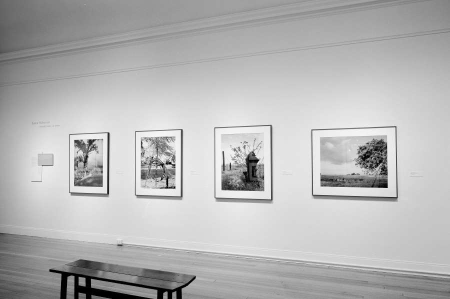 view exhibition image