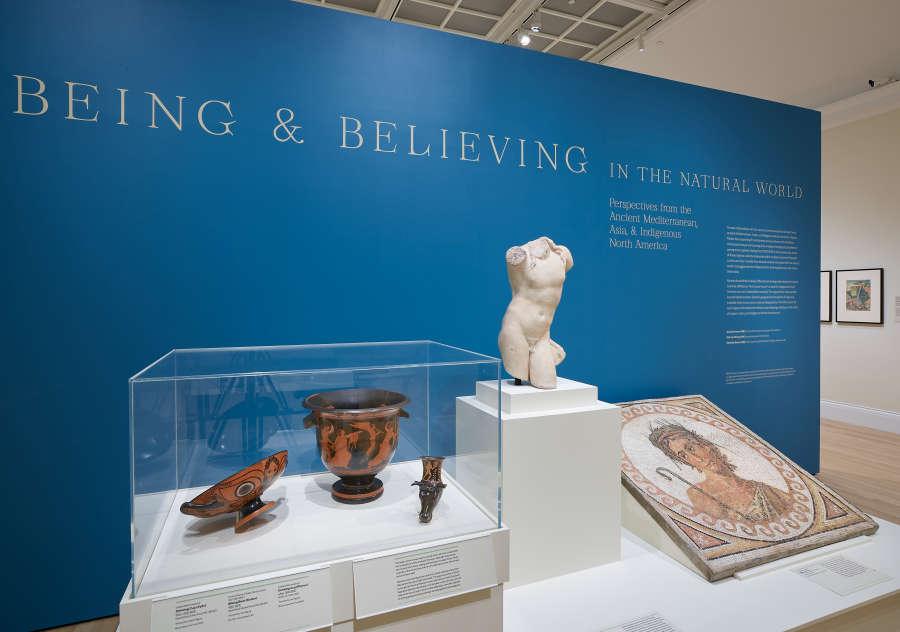 view exhibition image