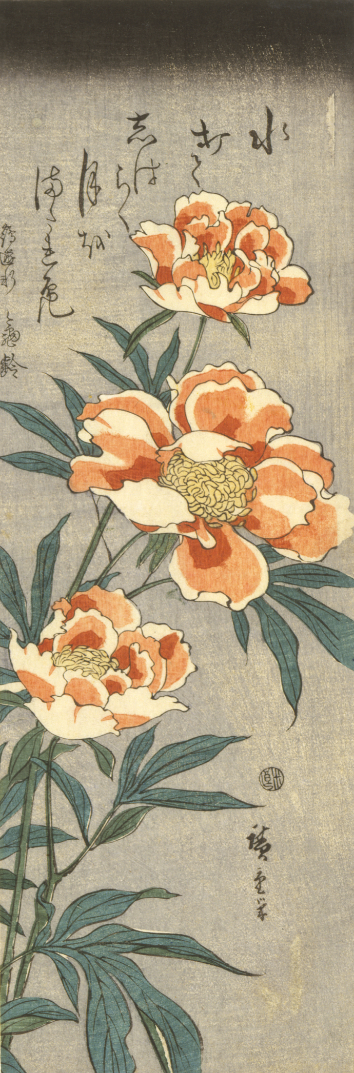 Three orange and white flowers bloom from slender green stems with pointed leaves on a gray backdrop.  Above is brief, thin calligraphy.