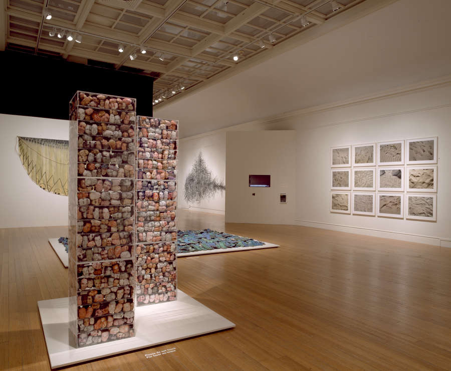 view exhibition image