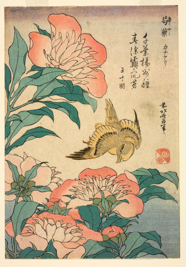 Bullfinch and weeping cherry print by Katsushika Hokusai