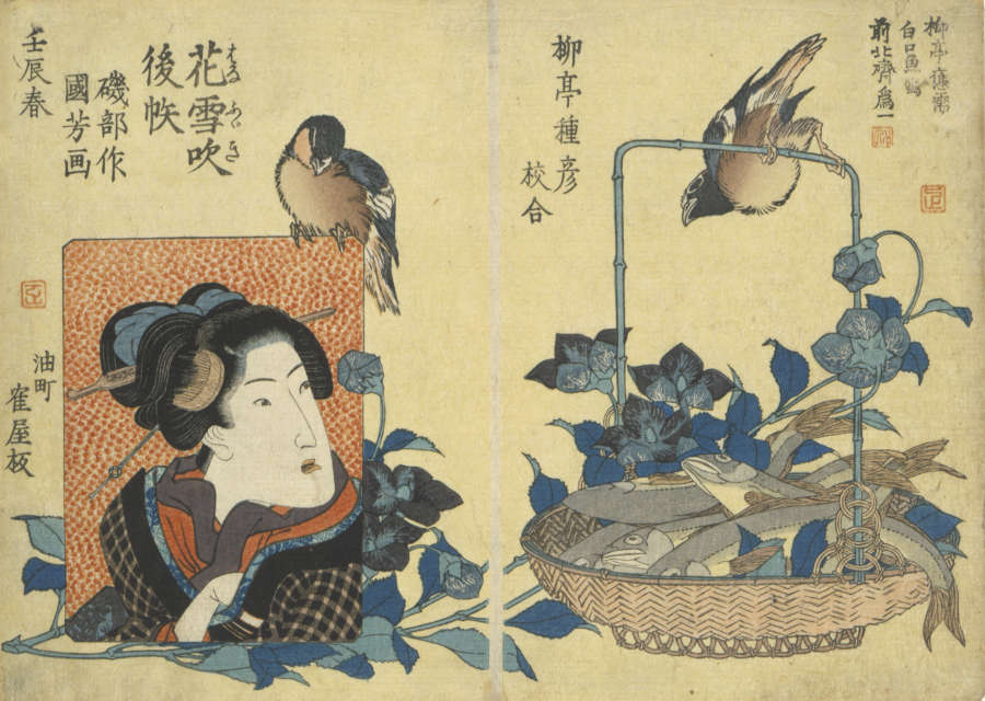 Woodblock print of a woman gazing at a bird on a perch connected to a basket of fish. A second bird is perched on-top the frame surrounding her face. 