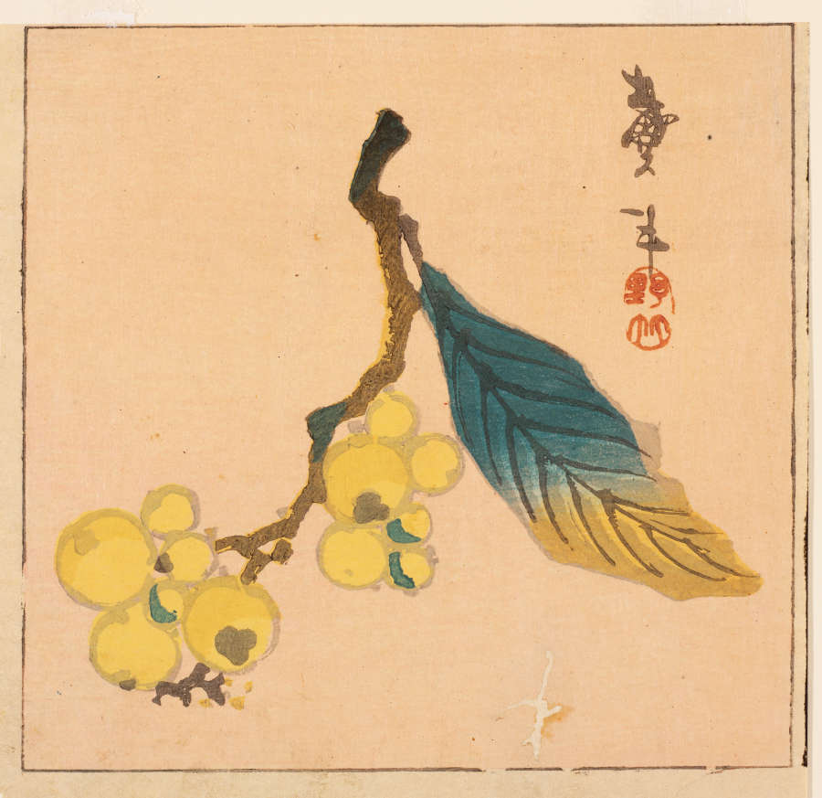 Minimalist woodblock print of a branch laden with clusters of small round yellow fruits and a single broad leaf with a green to yellow gradient, overtop a solid peach background.