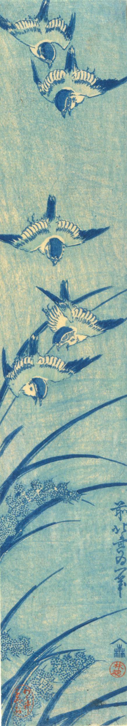 Tight vertical composition showing a blue and white illustration of five small birds diving down towards long, swaying grass.