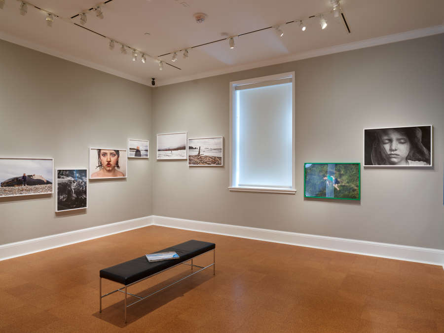 view exhibition image