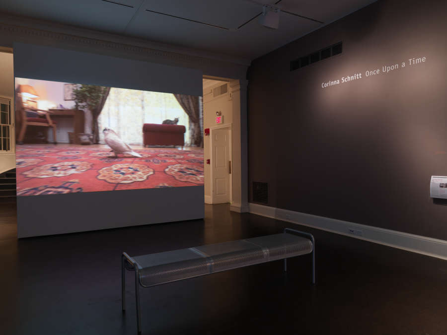 view exhibition image