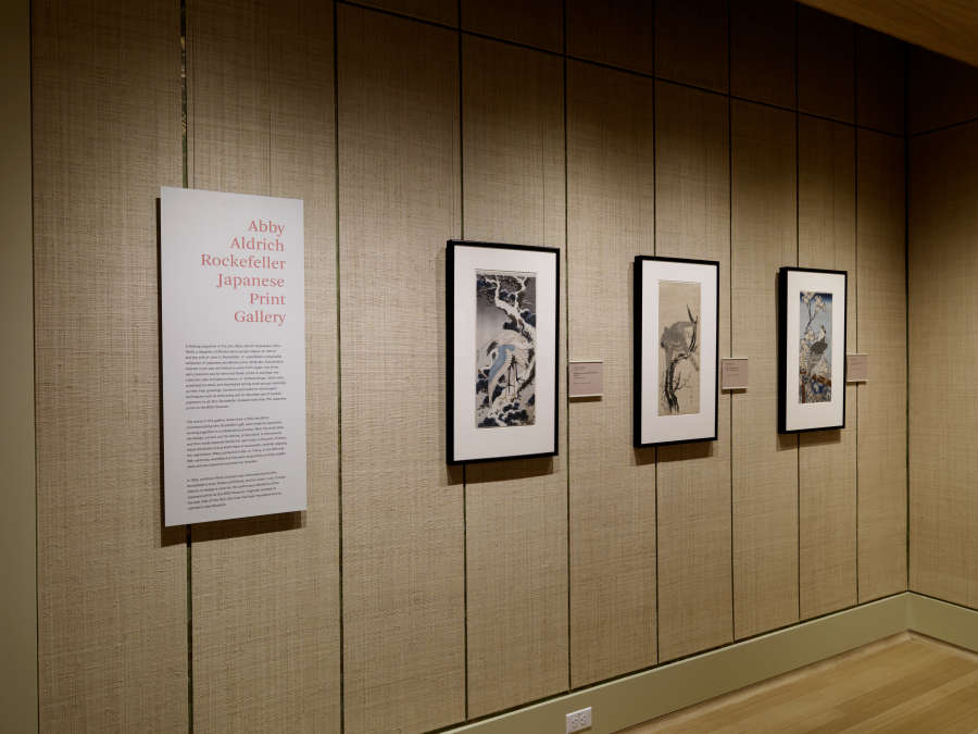 view exhibition image