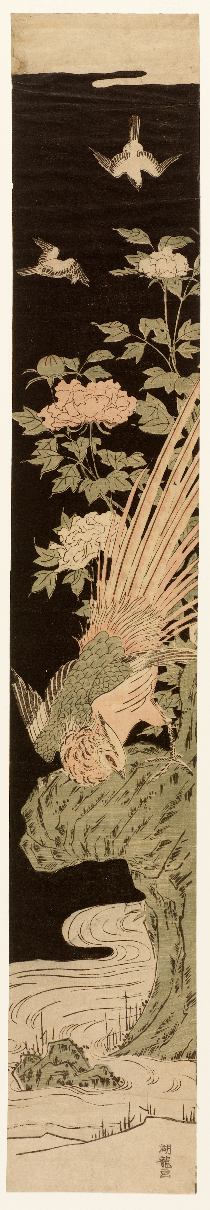 A pheasant perched near blooming peonies on a cliffside above a river with its tail feathers fanned out. Flocks of smaller birds soar above in the black backdrop.
