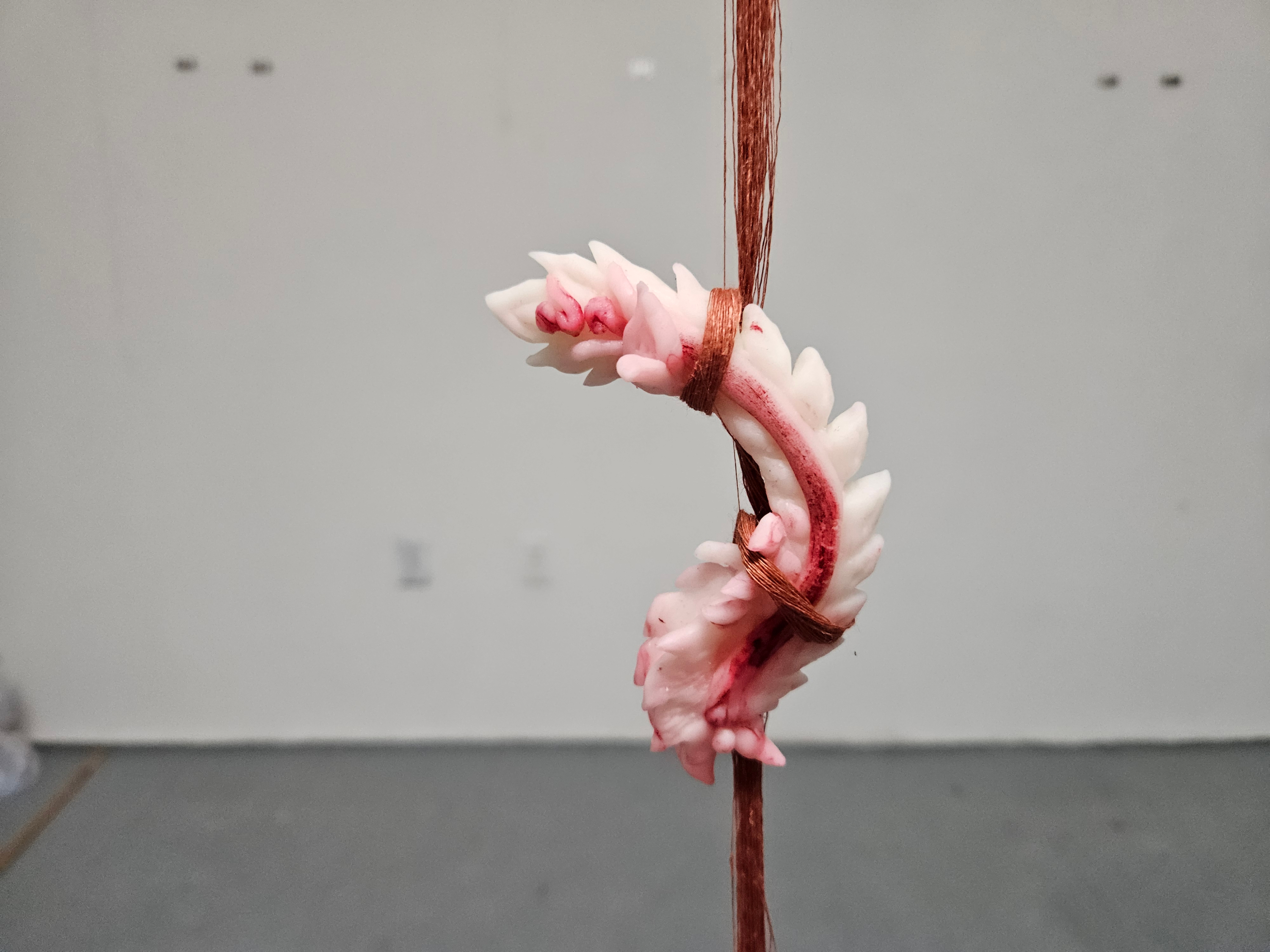 A white clay object, curved and adorned with with Cambodian style ornamentation and a red streak running through it, is wrapped by red silk threads and suspended in the air on a white backdrop.