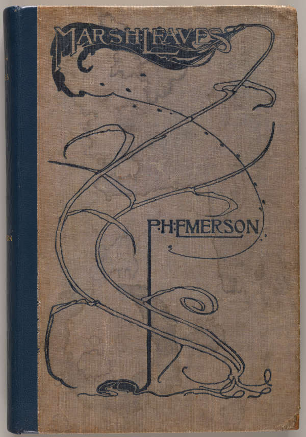 The cover of a book with the title “Marsh Leaves” in the top left corner with blue stems spiraling to the bottom right corner and the author's name at center.