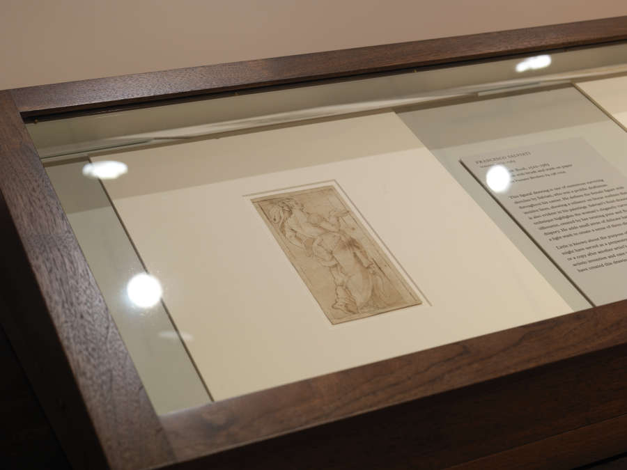 view exhibition image