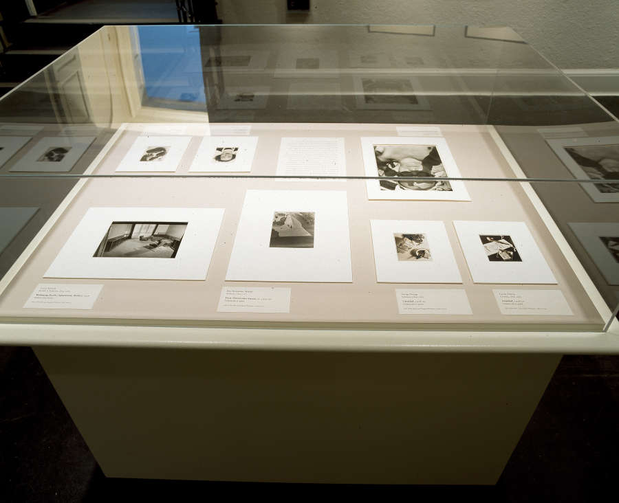 view exhibition image