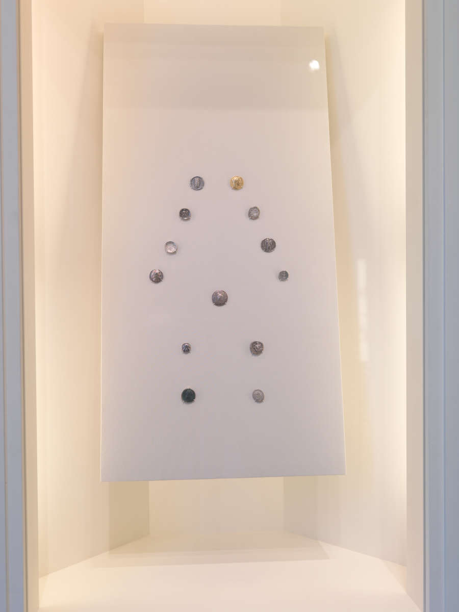 view exhibition image