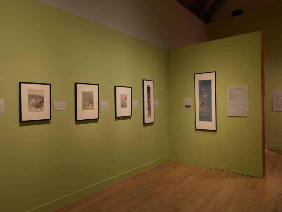 view exhibition image