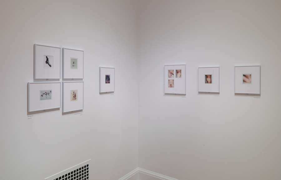 view exhibition image