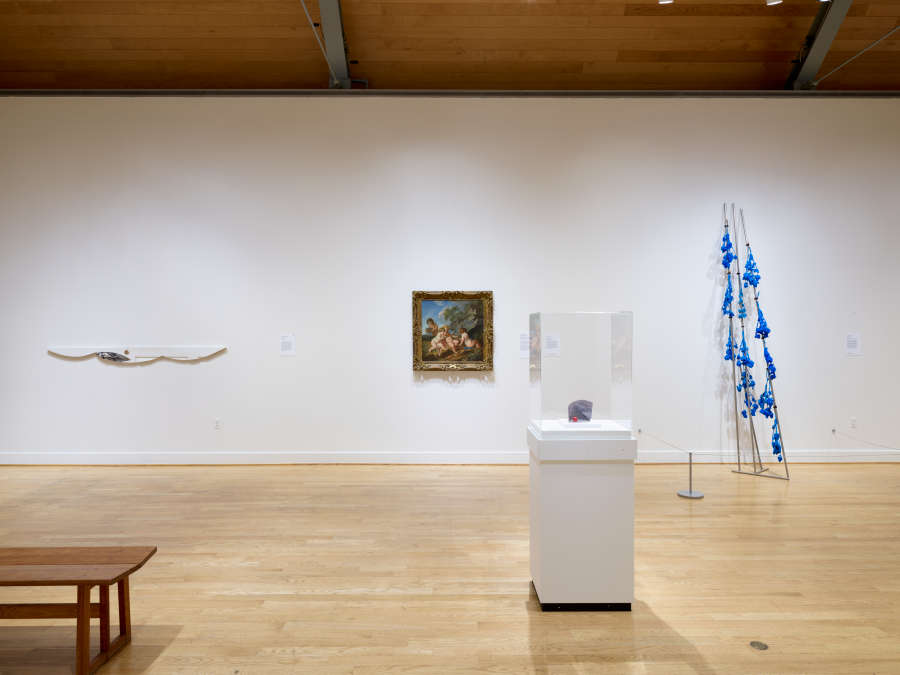 view exhibition image