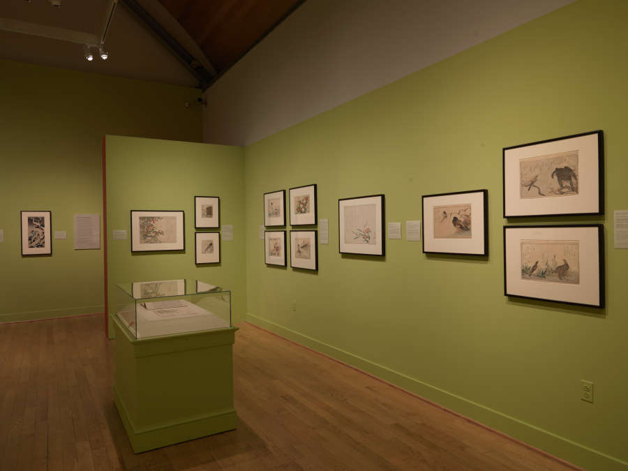 view exhibition image