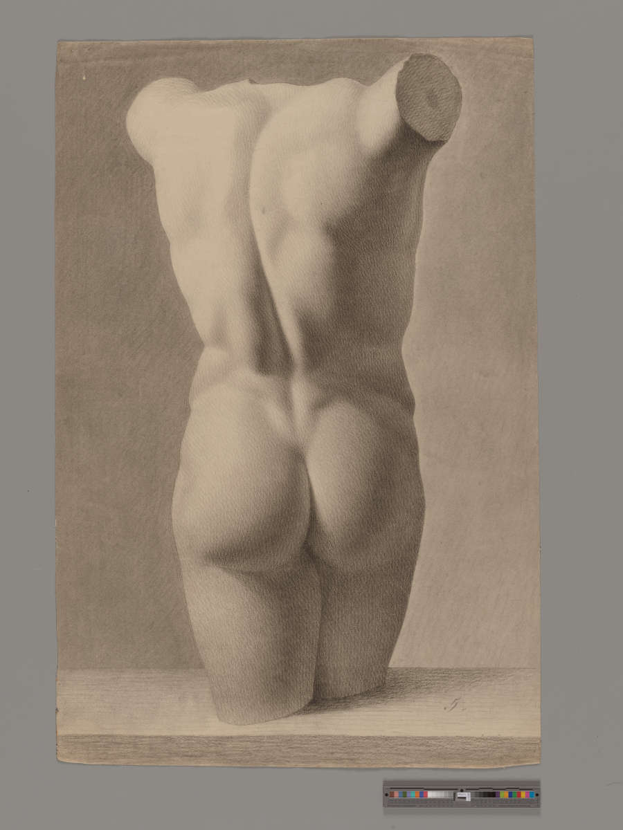 A charcoal drawing of a sculptural, nude male torso seen from behind. The figure is heavily shaded and detailed, and fine lines express detailed contours of the body.