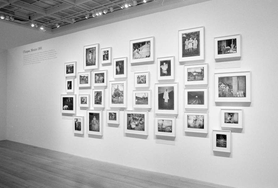 view exhibition image