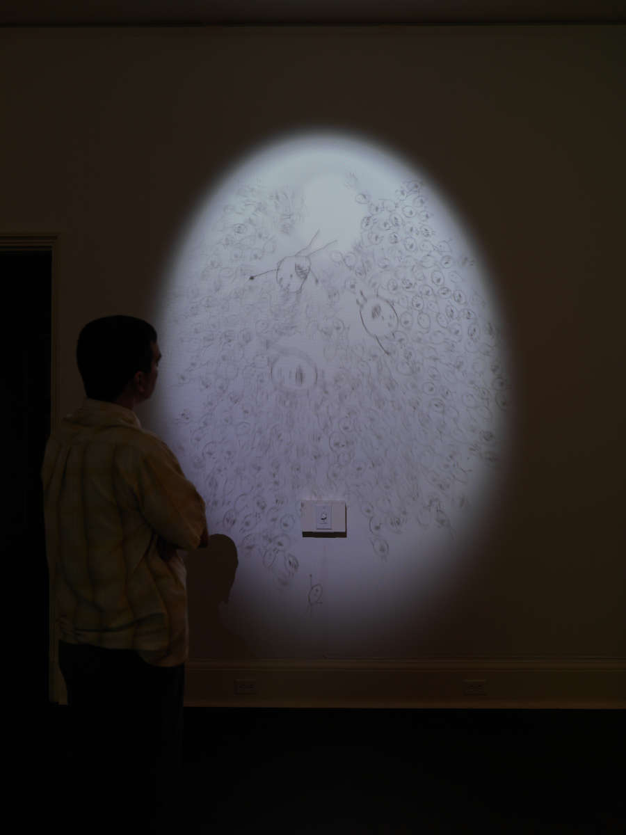 view exhibition image