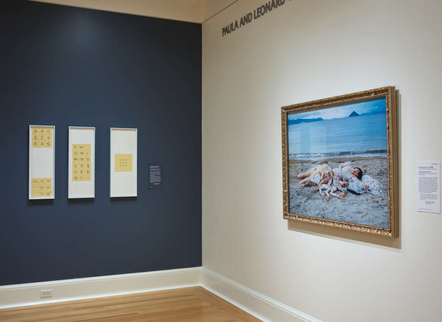view exhibition image
