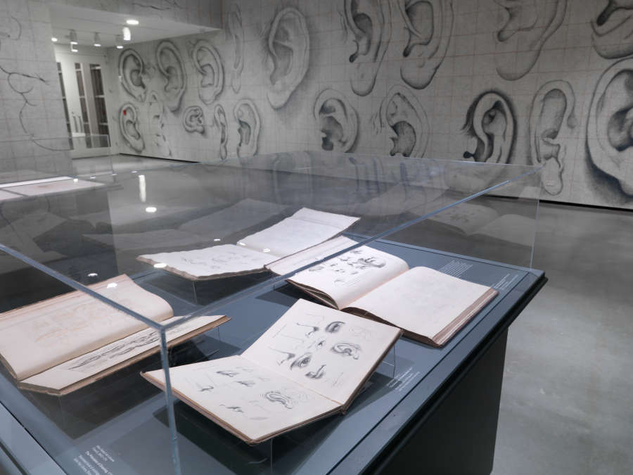 view exhibition image