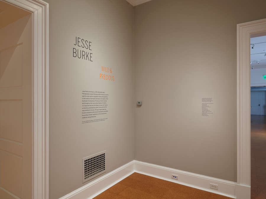 view exhibition image