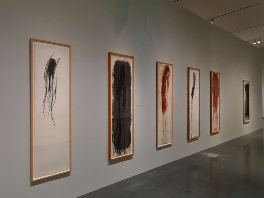 view exhibition image