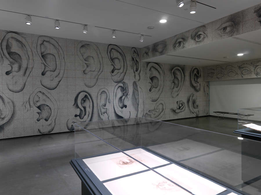 view exhibition image