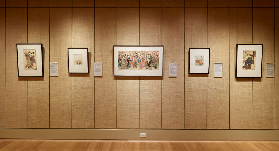view exhibition image