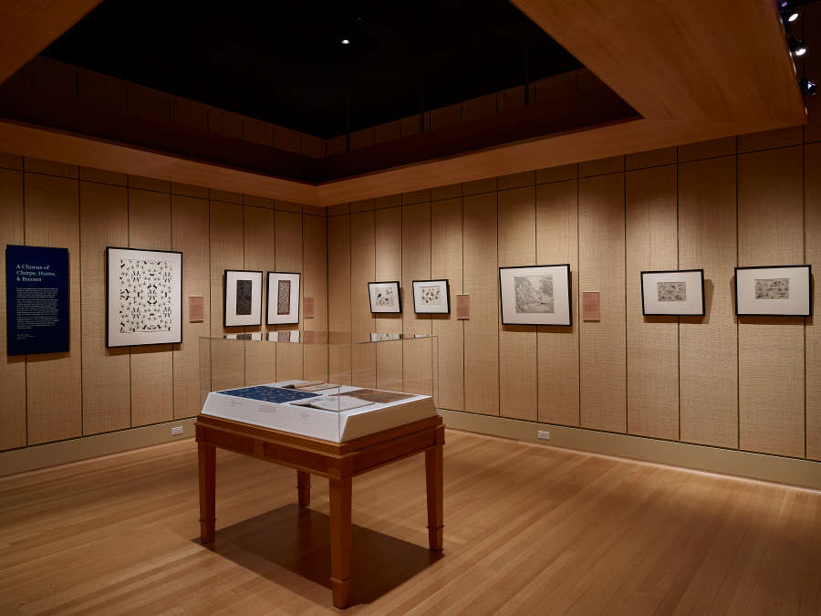 view exhibition image