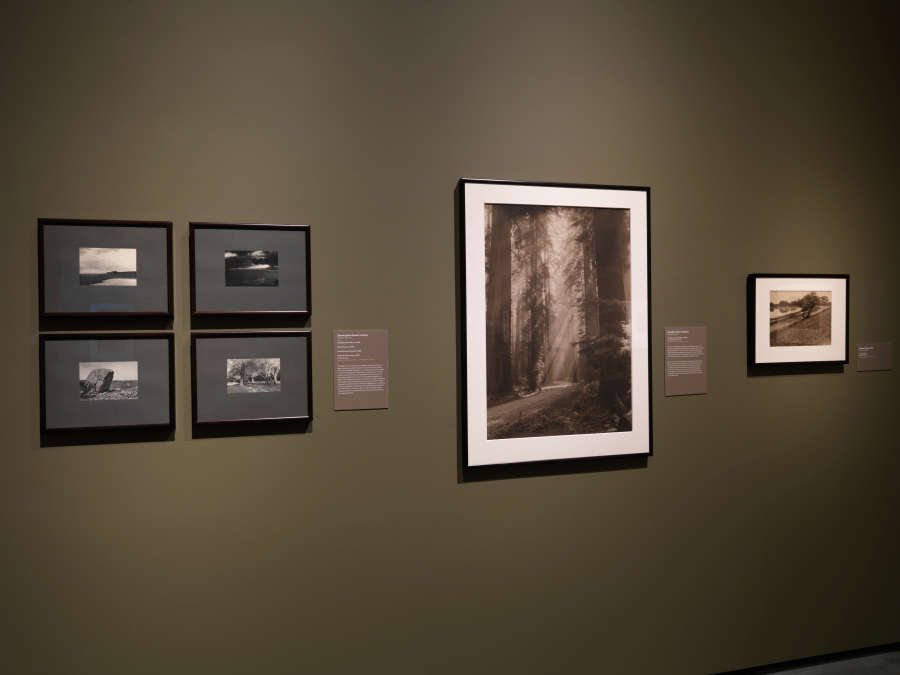 view exhibition image