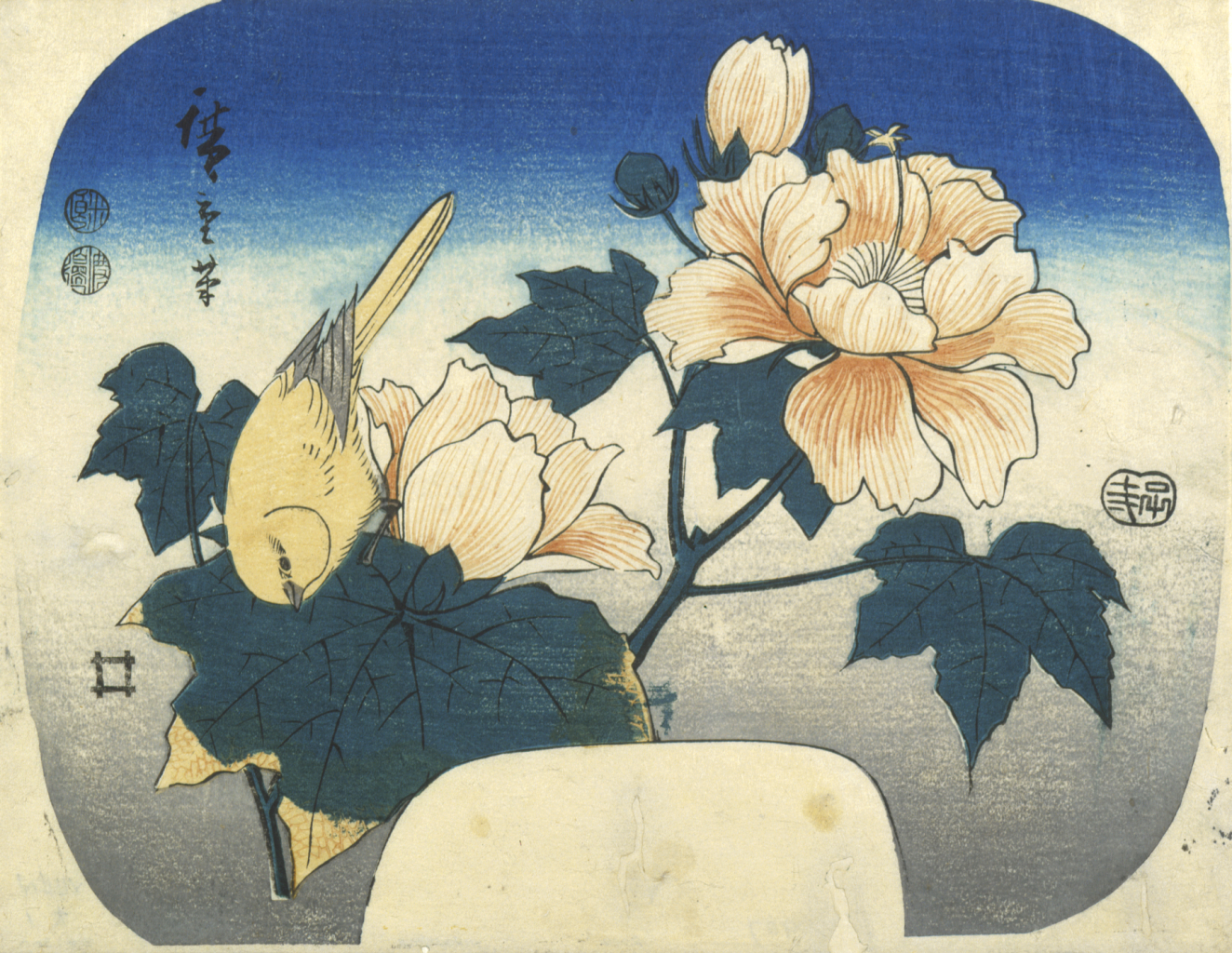 A yellow bird perched among an arrangement of pale peach hibiscus blossoms with dark green leaves set against a fading blue sky.