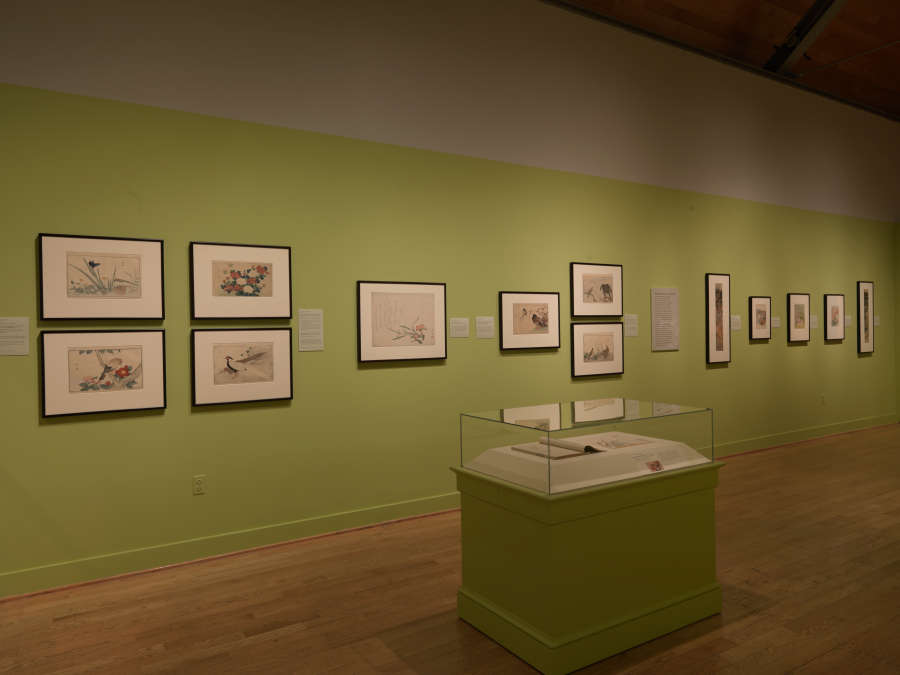 view exhibition image